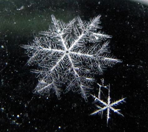 Delicate and Dazzling: The Allure of Magic Rainbow Snowflakes